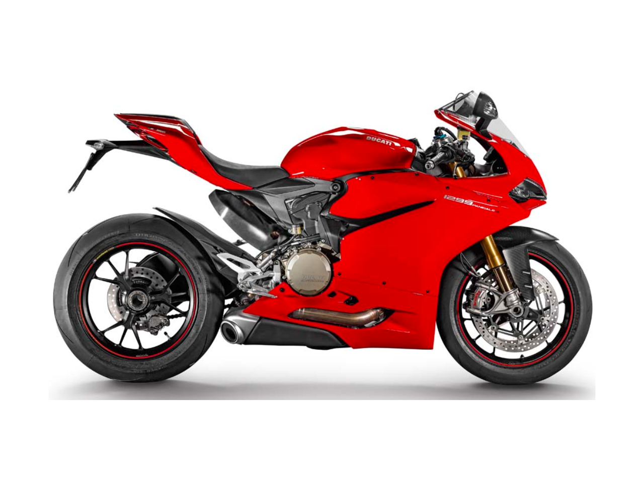 DUCATI Panigale 1299 (2015-2017)