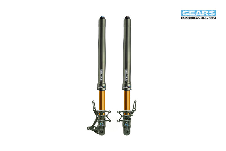 GFA330 Complete Front Fork Kit for HONDA MSX/Grom 125/Monkey 125/DAX 125 (22-)