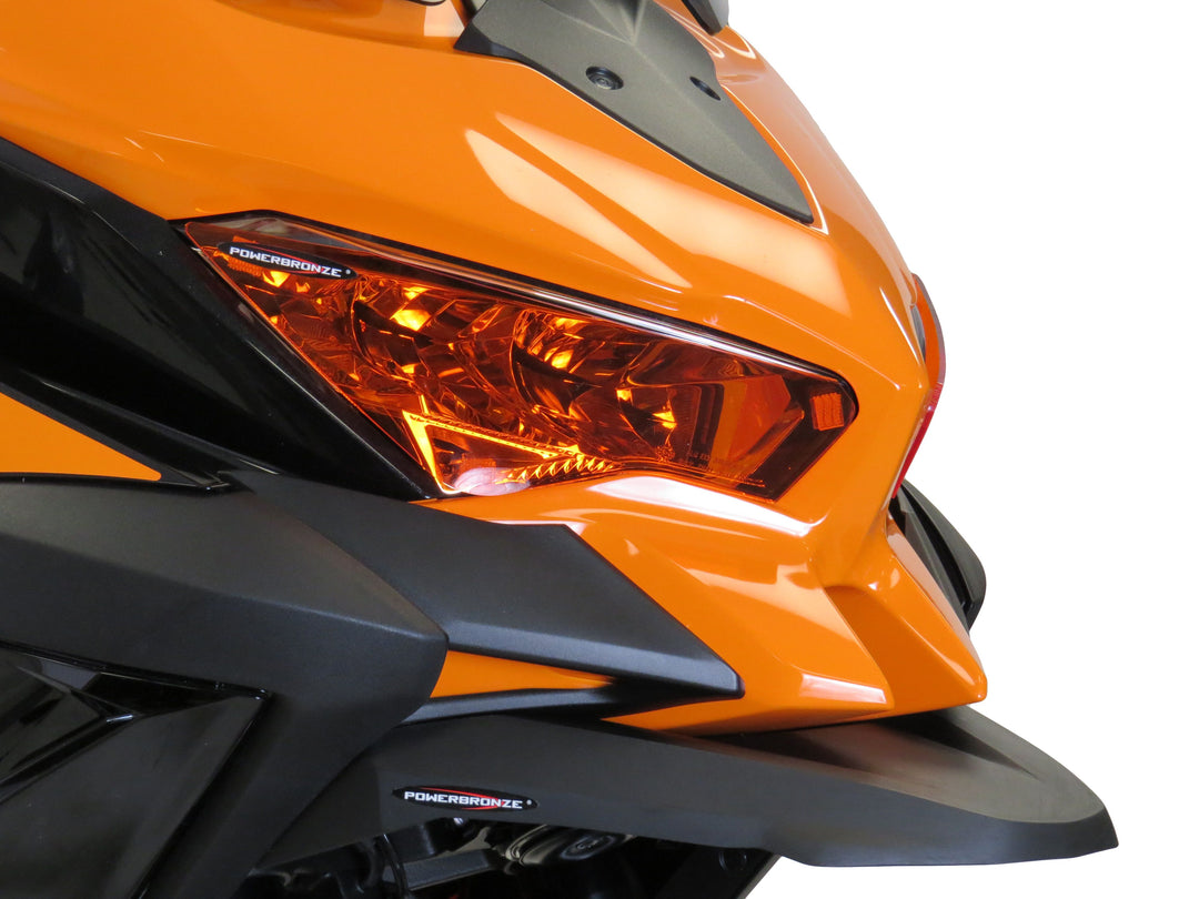 Headlight Protector (Main) for KAWASAKI Versys 1000 / 1100 / SE / S & 650