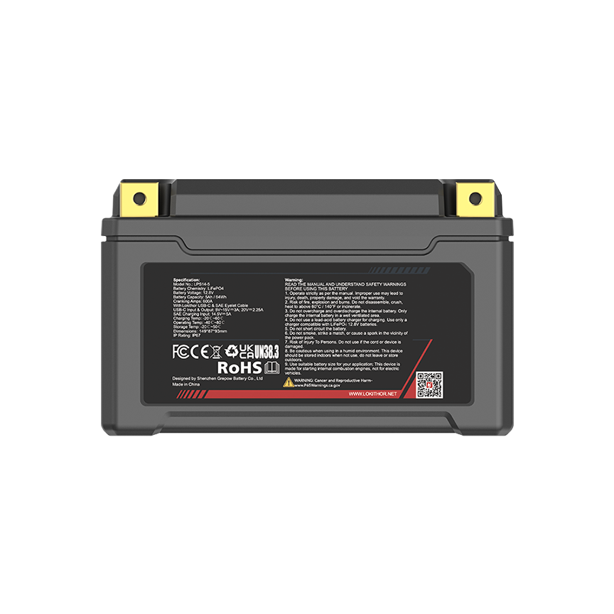 600A LPS14-5 LiFePO4 Motorcycle Battery