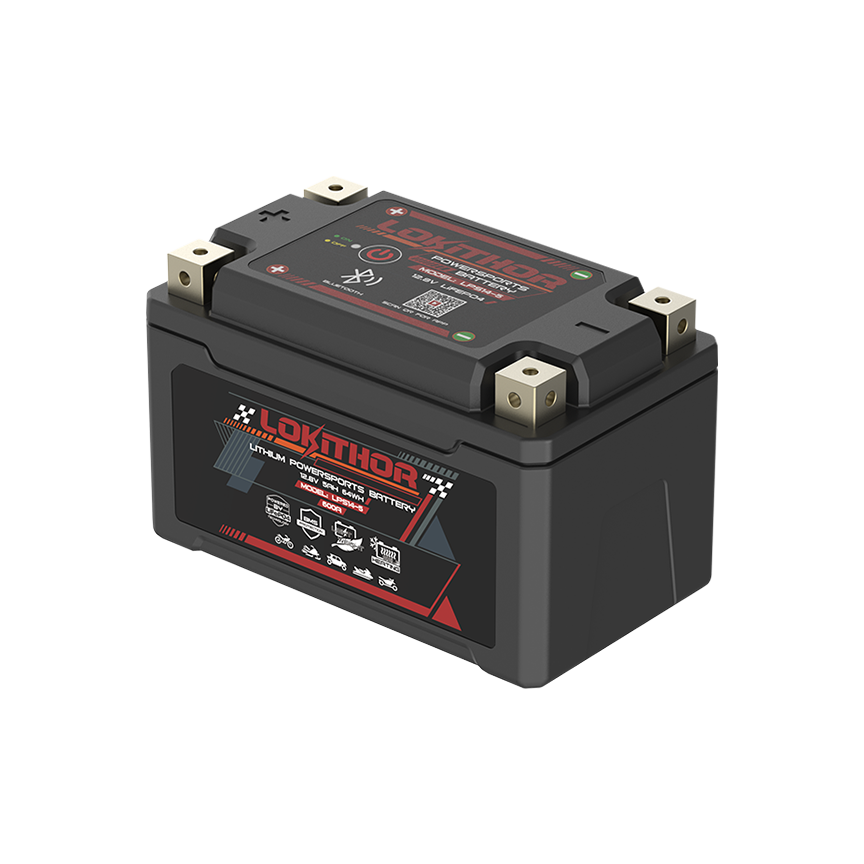 600A LPS14-5 LiFePO4 Motorcycle Battery