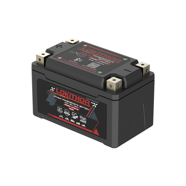 600A LPS14-5 LiFePO4 Motorcycle Battery