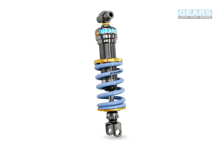 EV Rear Suspension for YAMAHA FJR 1300