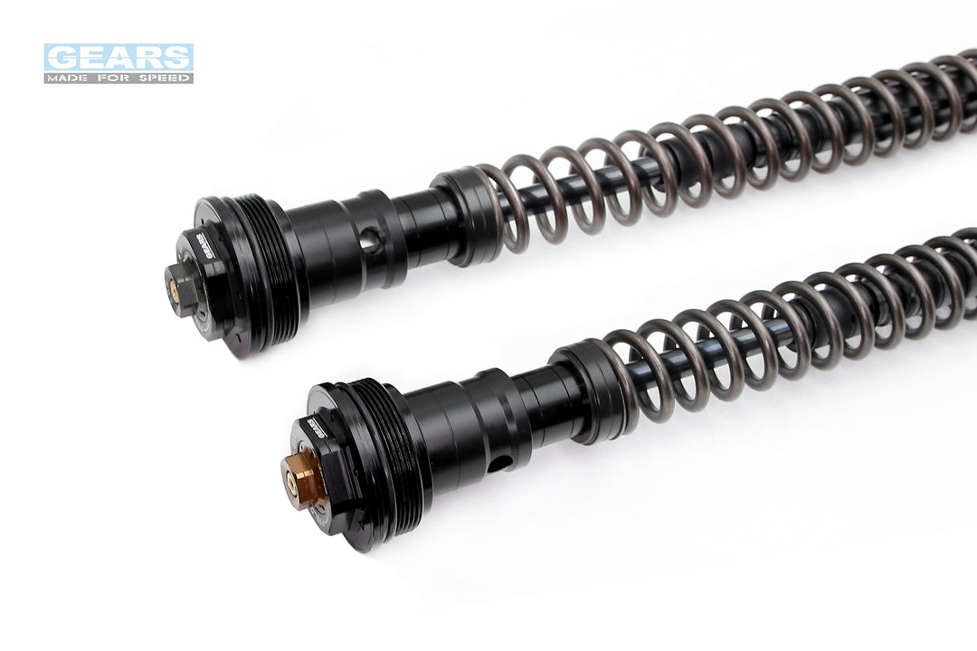 Front Fork Cartridge Inverted-Forks for CF MOTO 450SR / S