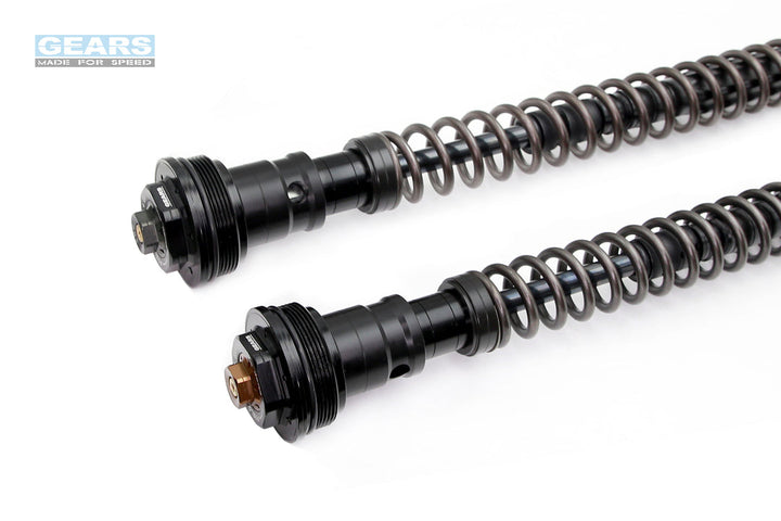 Front Fork Cartridge Inverted-Forks for CF MOTO 450SR / S