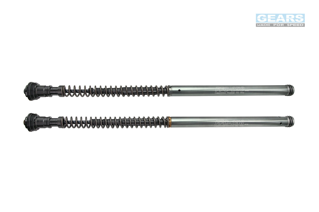 Front Fork Cartridge Inverted-Forks for CF MOTO 450SR / S