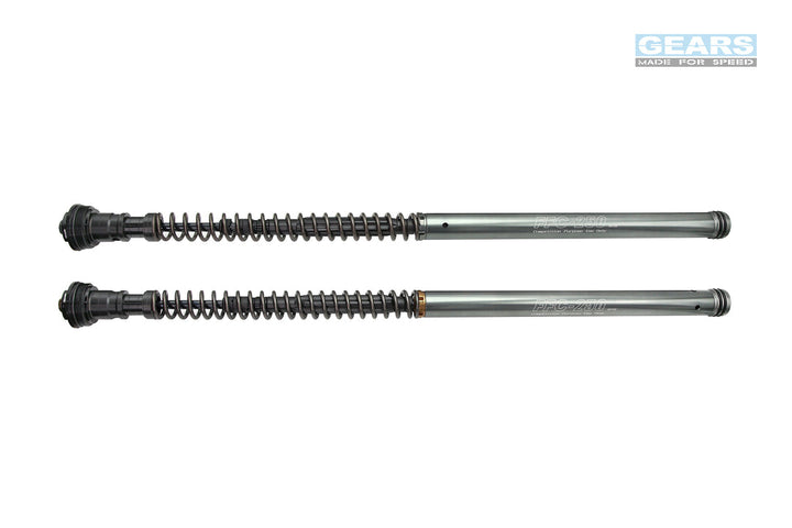 Front Fork Cartridge Inverted-Forks for CF MOTO 450SR / S