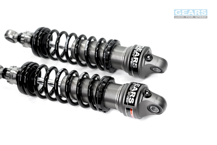 EV Rear Suspension for KAWASAKI W 800 (2019-)