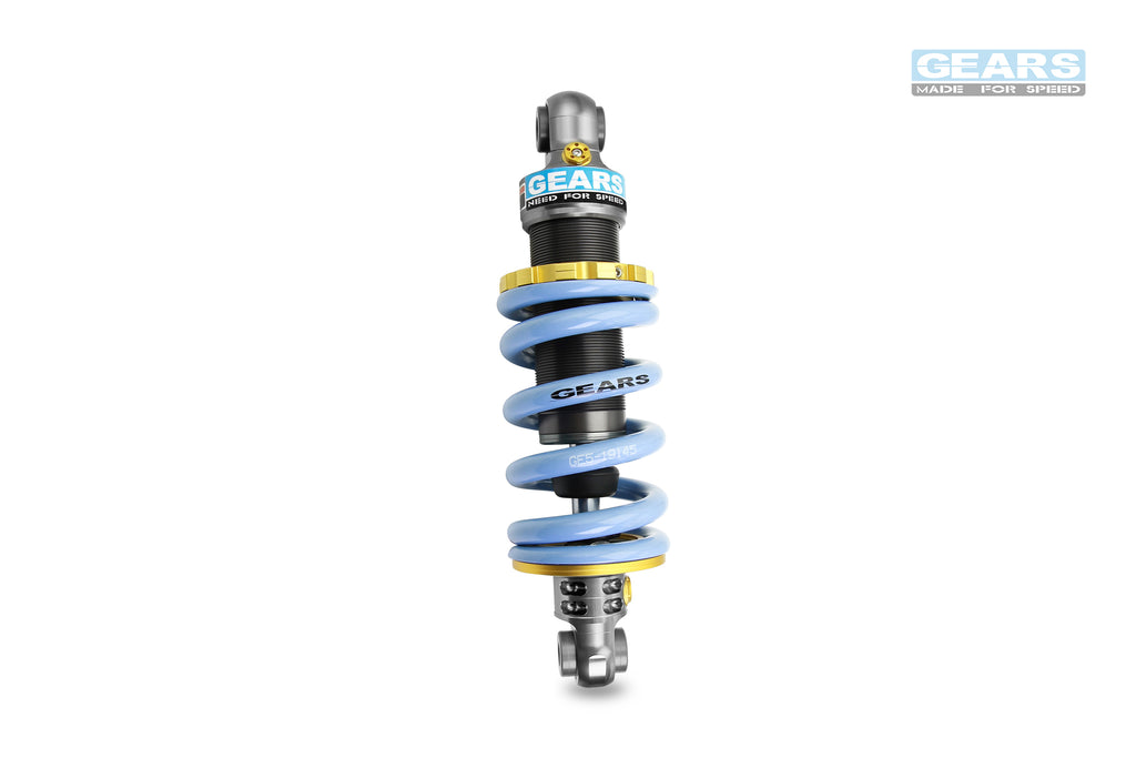 EV Rear Suspension for SUZUKi V-Strom 250 SX