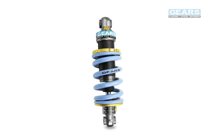 EV Rear Suspension for SUZUKi V-Strom 250 SX