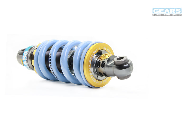 EV Rear Suspension for SUZUKi V-Strom 250 SX