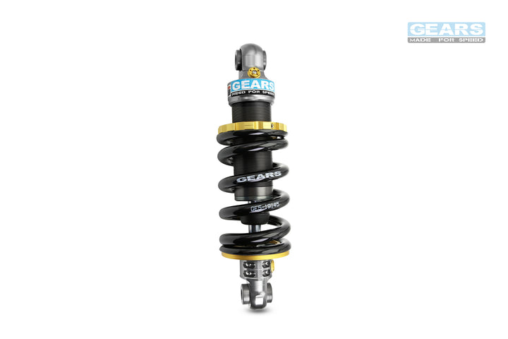 EV Rear Suspension for SUZUKi V-Strom 250 SX