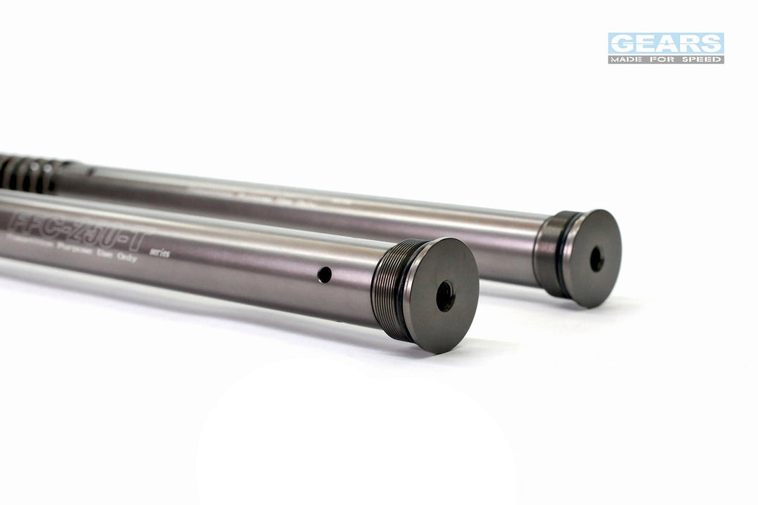 Front Fork Cartridge Inverted-Forks for HONDA ADV 350 (2022-)
