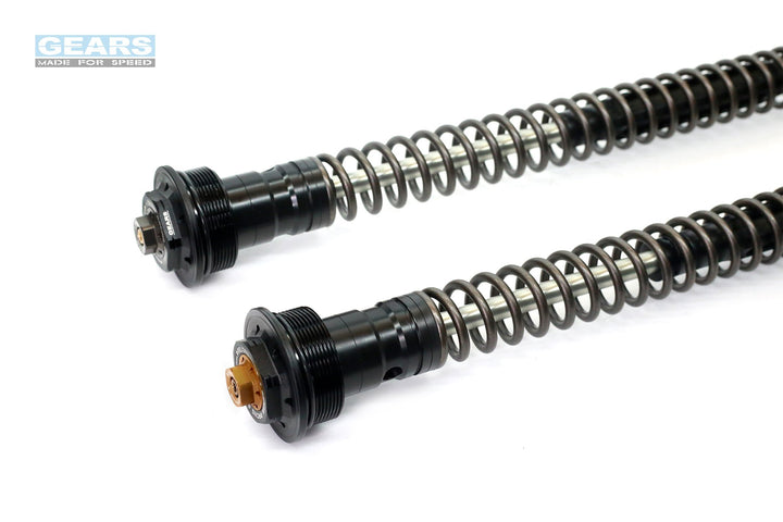 Front Fork Cartridge Inverted-Forks for YAMAHA T-Max 530 (2015-2019) / 560 (2020-)