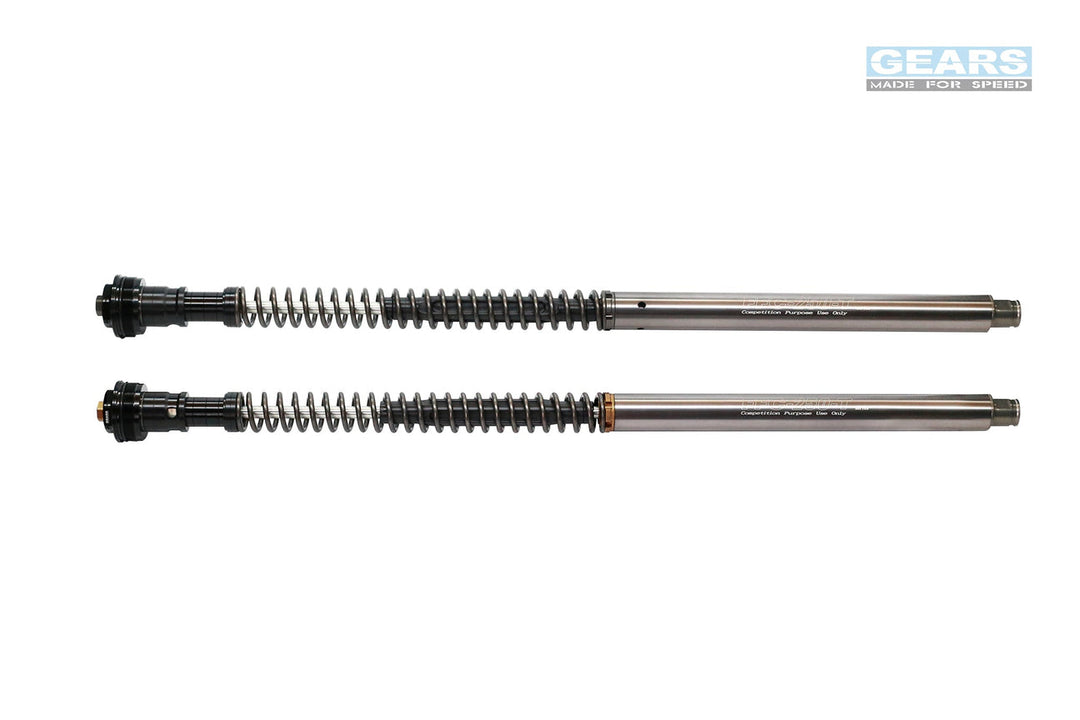 Front Fork Cartridge Inverted-Forks for HONDA ADV 350 (2022-)