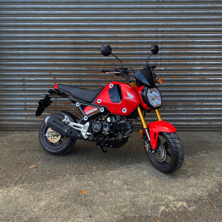 PYRAMID Fly Screen for HONDA MSX 125 Grom (2021-)
