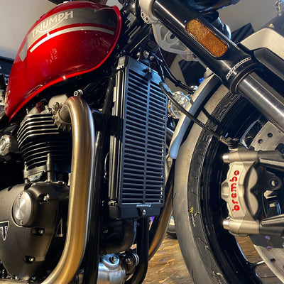 PYRAMID Radiator Guard for Selected TRIUMPH Models
