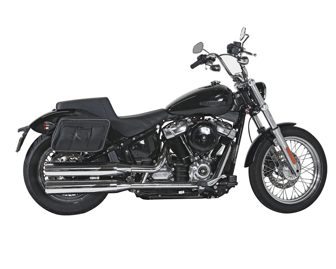 Road Trip Saddlebags